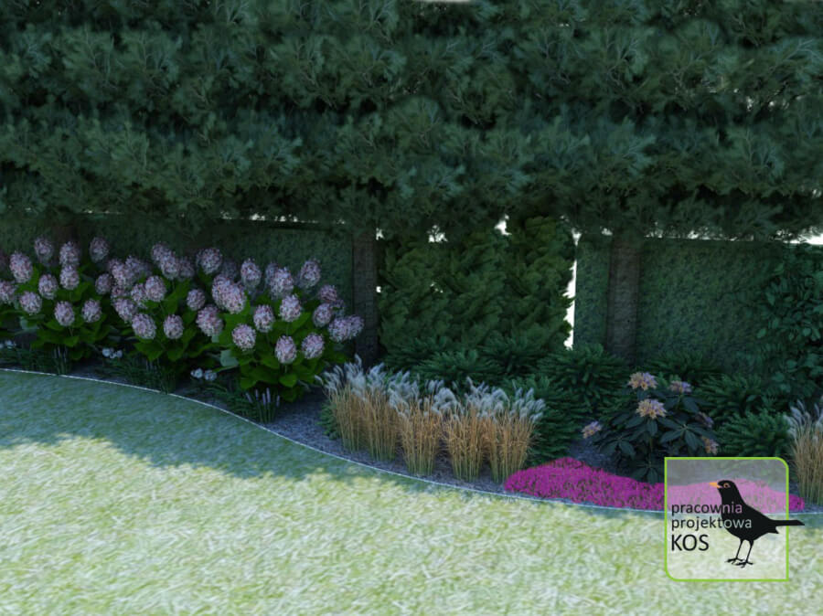 Ogród w Kiekrzu - fioletowa tonacja